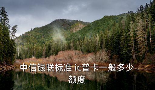 網申的中信ic金卡額度是多少