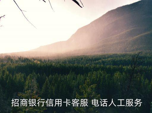 上海招商銀行貸款電話是多少,招商銀行貸款人工電話