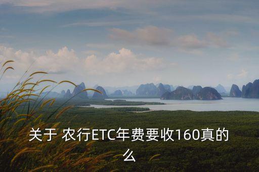 農(nóng)行etc儲蓄卡年費多少,農(nóng)行ETC年費多少