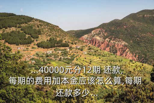 ...40000元分12期 還款,每期的費(fèi)用加本金應(yīng)該怎么算,每期 還款多少...
