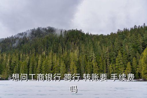 想問(wèn)工商銀行 跨行 轉(zhuǎn)賬要 手續(xù)費(fèi)嗎
