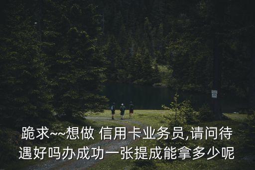 辦信用卡一月賺多少錢,信用卡辦了分期還不上怎么辦
