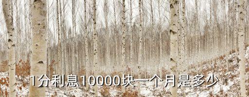 1分利息10000塊一個月是多少