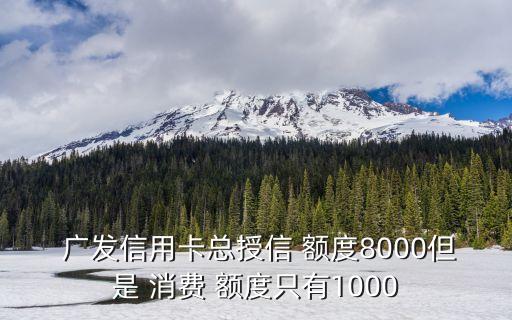  廣發(fā)信用卡總授信 額度8000但是 消費(fèi) 額度只有1000