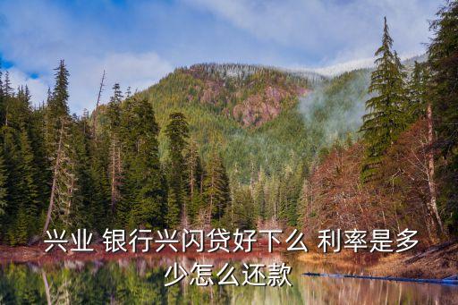  興業(yè) 銀行興閃貸好下么 利率是多少怎么還款