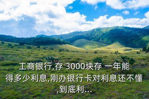 工商銀行,存 3000塊存 一年能得多少利息,剛辦銀行卡對利息還不懂,到底利...