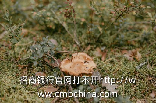 招行網(wǎng)址是多少,招行M9有多少資產(chǎn)