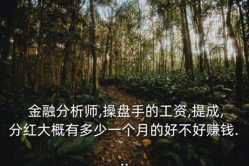  金融分析師,操盤手的工資,提成,分紅大概有多少一個月的好不好賺錢...