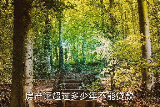 二手房貸款額多少房齡不給帶,上海二手房房齡多少比較好