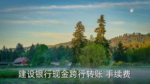 建設(shè)銀行現(xiàn)金跨行轉(zhuǎn)賬 手續(xù)費