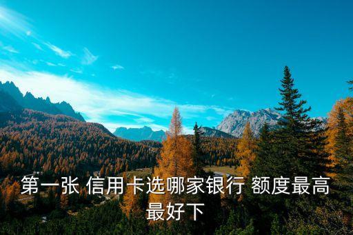 第一張 信用卡選哪家銀行 額度最高最好下