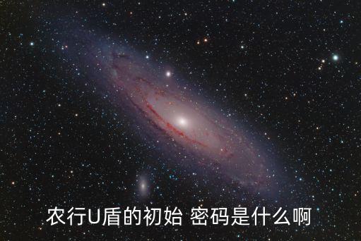 農(nóng)行U盾的初始 密碼是什么啊