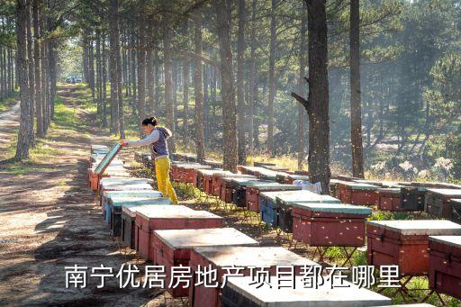  南寧優(yōu)居房地產(chǎn)項(xiàng)目都在哪里