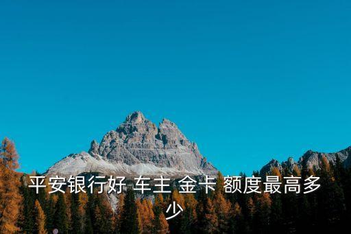 平安保險車主信用卡金卡額度一般多少,有平安保險申請信用卡額度會高嗎