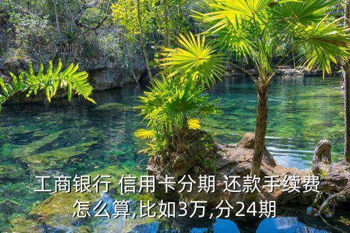  工商銀行 信用卡分期 還款手續(xù)費怎么算,比如3萬,分24期