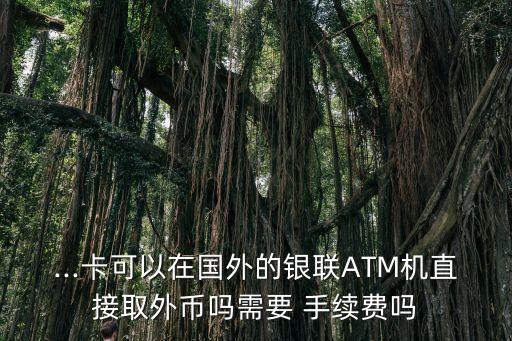 ...卡可以在國外的銀聯(lián)ATM機(jī)直接取外幣嗎需要 手續(xù)費(fèi)嗎