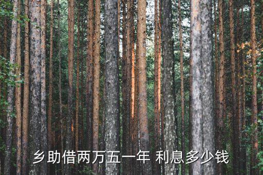 鄉(xiāng)助借兩萬(wàn)五一年 利息多少錢(qián)