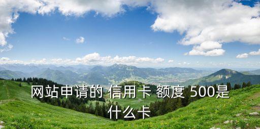 網(wǎng)站申請的 信用卡 額度 500是什么卡
