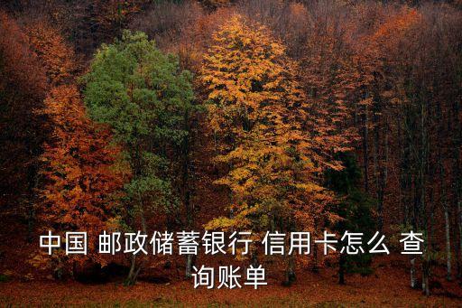 中國(guó) 郵政儲(chǔ)蓄銀行 信用卡怎么 查詢賬單