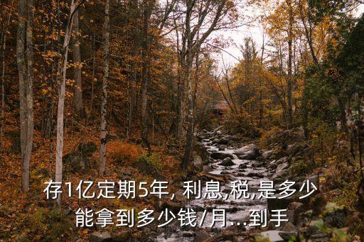 存1億定期5年, 利息,稅,是多少能拿到多少錢(qián)/月...到手