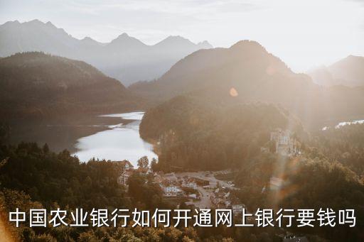 中國農(nóng)業(yè)銀行如何開通網(wǎng)上銀行要錢嗎