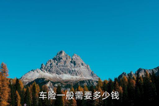 車險(xiǎn)一般需要多少錢