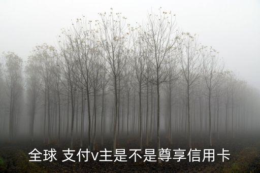 全球 支付v主是不是尊享信用卡