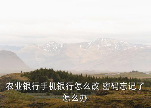 農(nóng)行卡網(wǎng)上重置密碼是多少