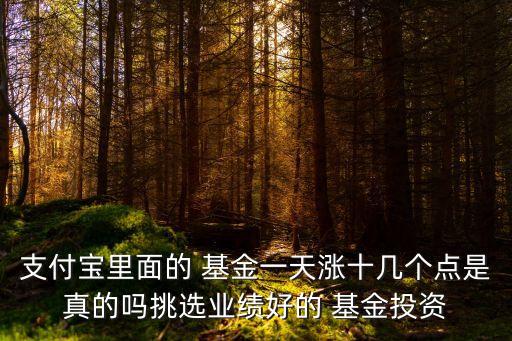支付寶里面的 基金一天漲十幾個點是真的嗎挑選業(yè)績好的 基金投資