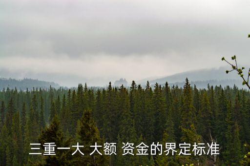 大額資金是多少,三重一大中大額資金是多少
