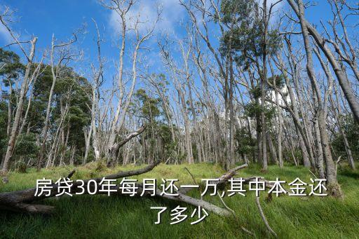 房貸一個(gè)月多少錢(qián),600萬(wàn)房貸30年每月還多少