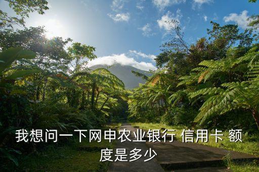 我想問一下網申農業(yè)銀行 信用卡 額度是多少
