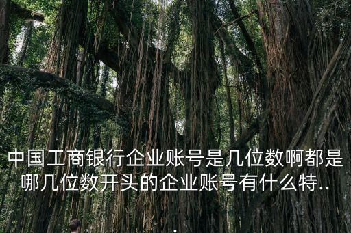 中國工商銀行企業(yè)賬號是幾位數(shù)啊都是哪幾位數(shù)開頭的企業(yè)賬號有什么特...