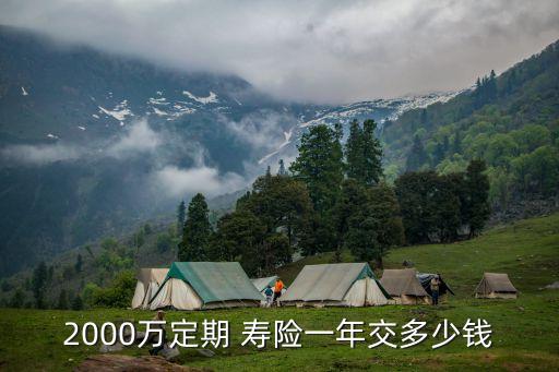 2000萬(wàn)定期 壽險(xiǎn)一年交多少錢