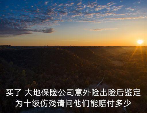 買了 大地保險公司意外險出險后鑒定為十級傷殘請問他們能賠付多少