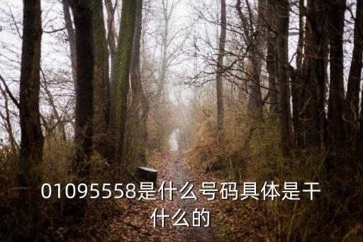 01095558是什么號(hào)碼具體是干什么的