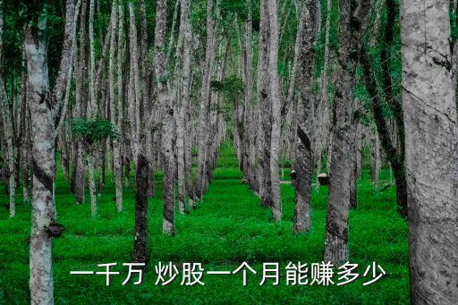 一千萬 炒股一個月能賺多少