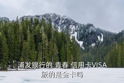  浦發(fā)銀行的 青春 信用卡VISA版的是金卡嗎