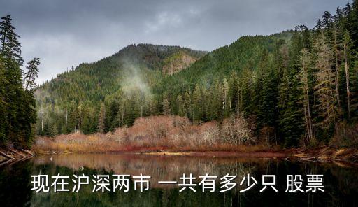 創(chuàng)業(yè)板一共多少只股票,多少錢可以買創(chuàng)業(yè)板股票