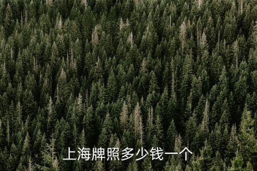 宜信的開頭車牌是多少錢