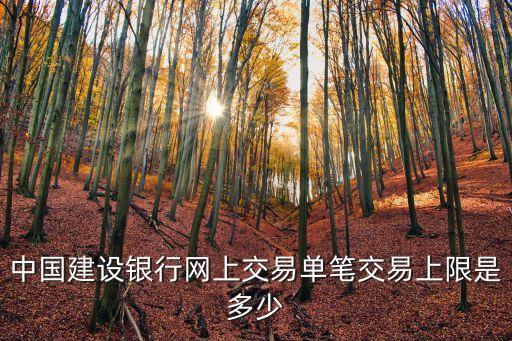 建行在支付寶限額多少,建行卡轉(zhuǎn)支付寶3000就限額了