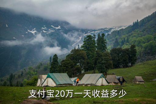 支付寶20萬一天收益多少