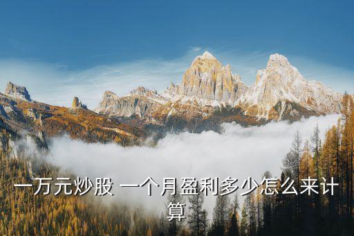 一個月的投資能賺多少錢啊,投資顧問一個月掙多少