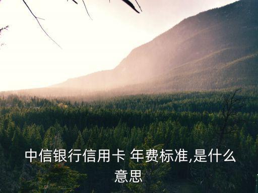  中信銀行信用卡 年費(fèi)標(biāo)準(zhǔn),是什么意思