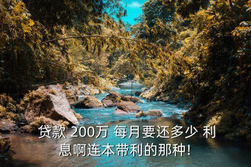 200萬(wàn)貸款每月利息多少,貸款200萬(wàn)利息是多少