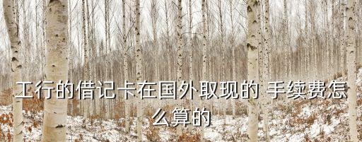 外匯 境外 取款 手續(xù)費(fèi)是多少,中國銀行卡境外取外匯手續(xù)費(fèi)