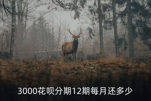 三千塊十二月利息多少,三千利息本金多少