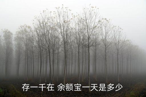 存一千在 余額寶一天是多少