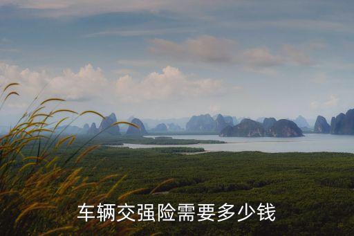 車輛交強(qiáng)險(xiǎn)需要多少錢