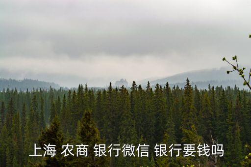 上海農(nóng)商銀行 手續(xù)費多少錢,農(nóng)商銀行收款碼收錢要手續(xù)費嗎
